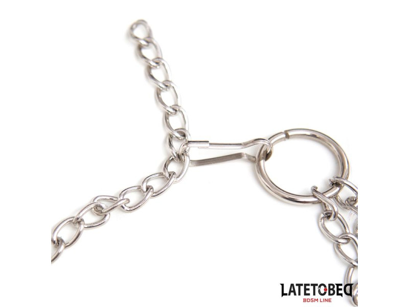 Pinzas Pezones con Anillo para Pene Talla Unica