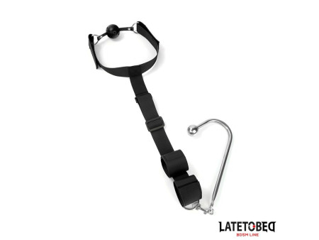 LATETOBED BDSM LINE