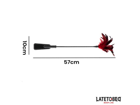 Pala con Plumas 2 en 1