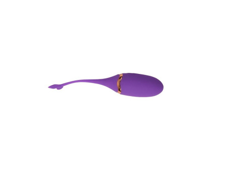 Bala Vibradora Control Remoto Beckoning Beats USB Silicona 59