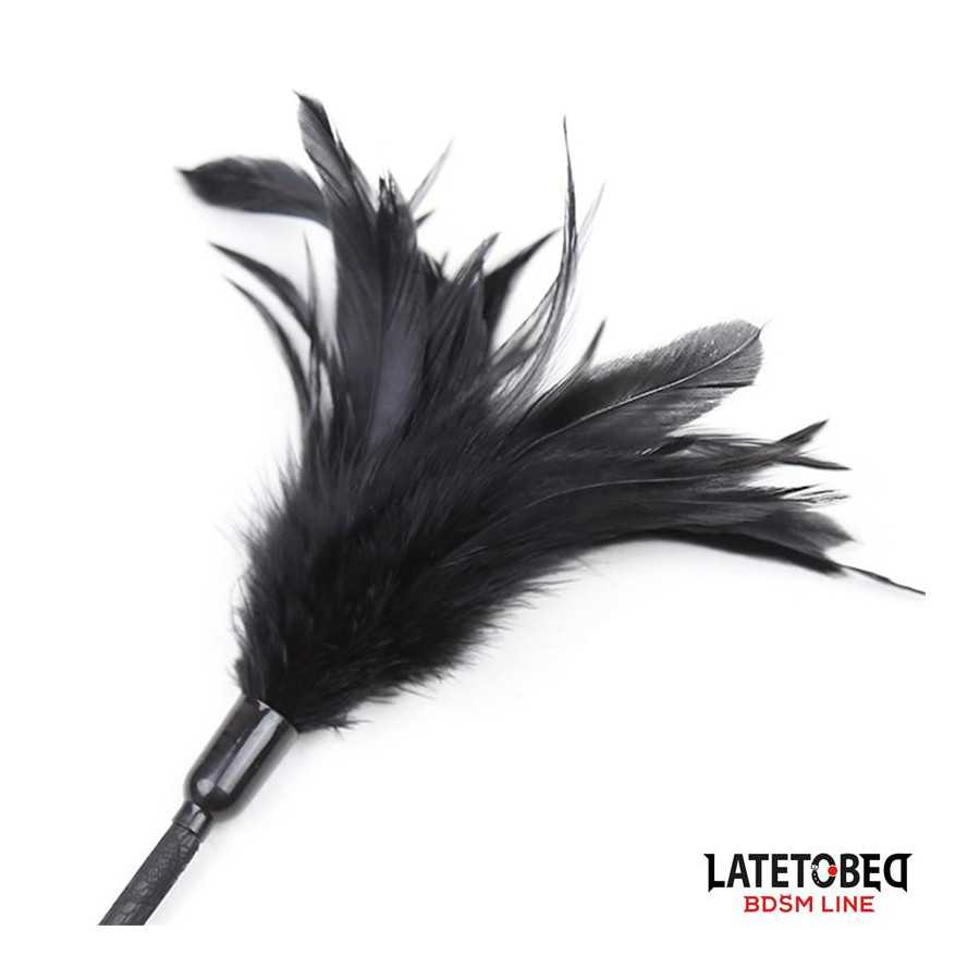 Multi Feathers Tickler and Lace Ribbon Paddle Comb