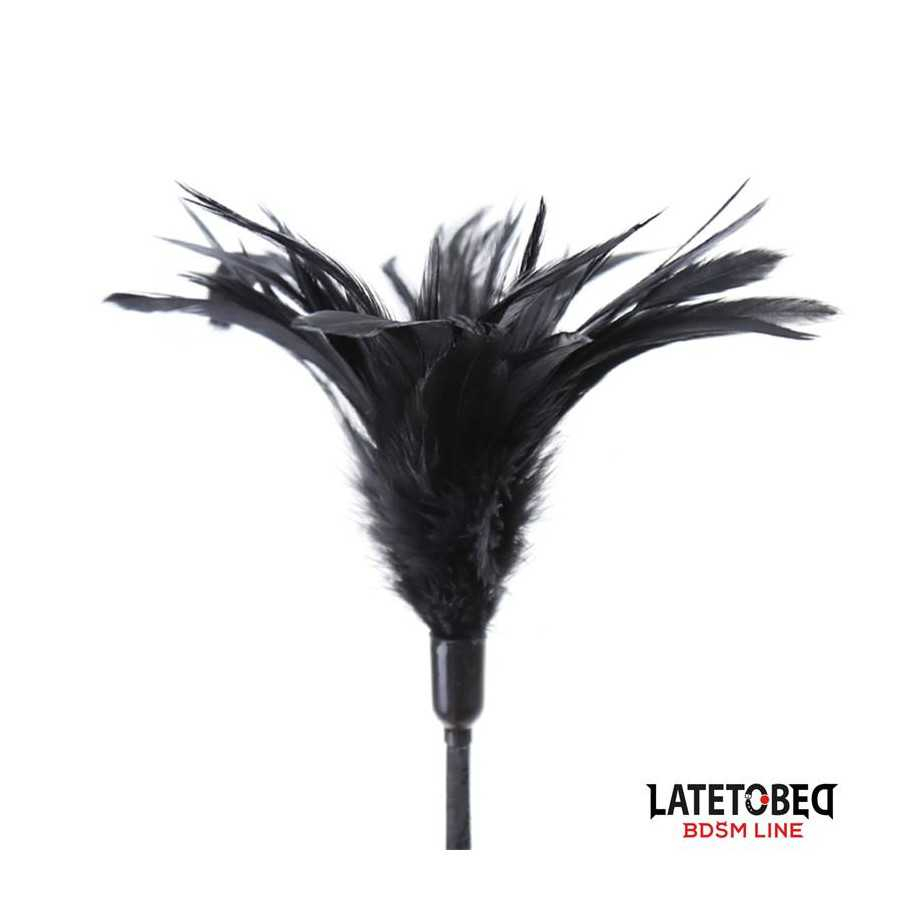 Multi Feathers Tickler and Lace Ribbon Paddle Comb