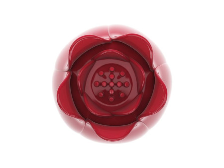 Flower Wand Cabezal para Masajeador Power Wand Flower Wand Cabezal para Masajeador Power Wand