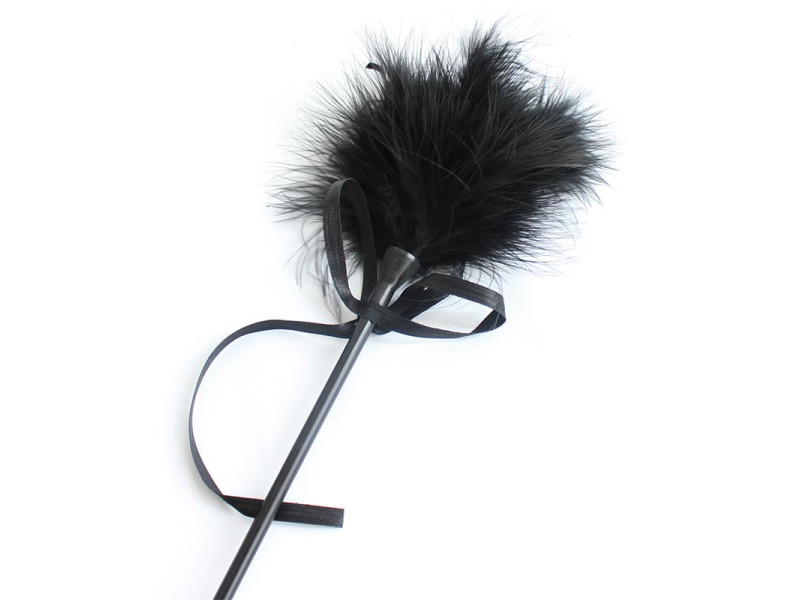 Plumero y Fusta 2 en 1 49 cm Negro