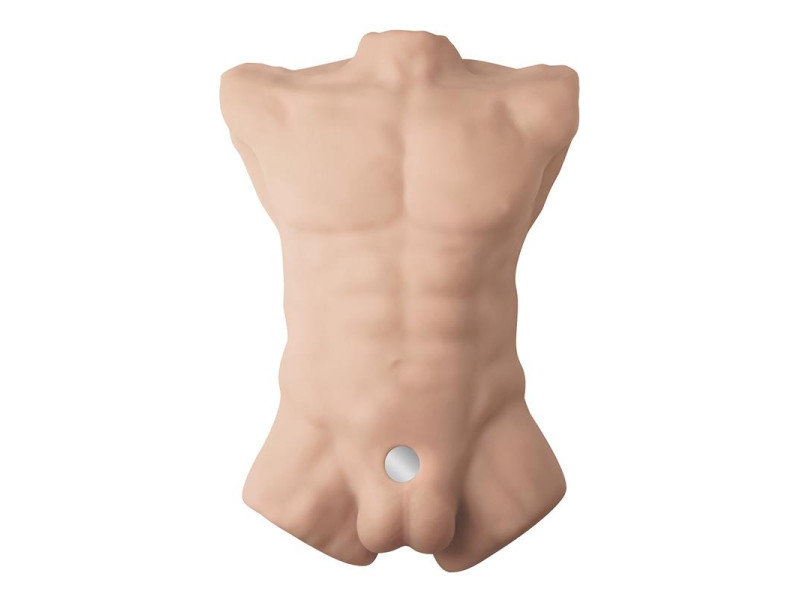 Apollo L Torso 54 cm