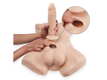 Apollo L Torso 54 cm