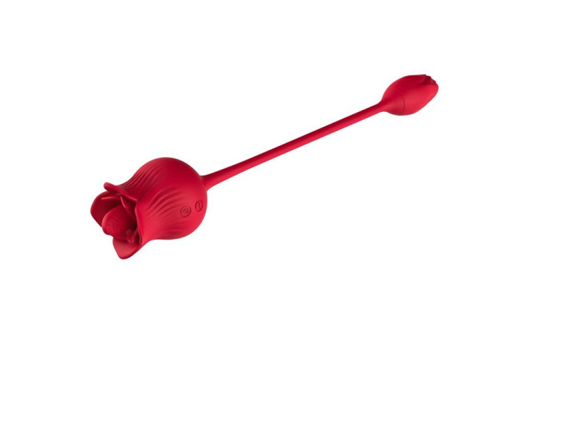 Rosa con Licking y Huevo Vibrador USB