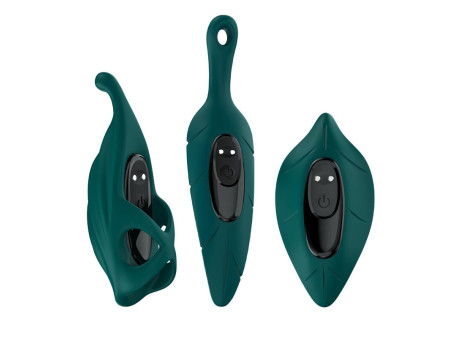 Set de Vibrador y Fundas