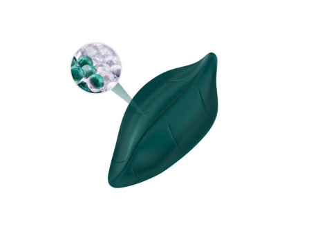 Vibrador de Braguita