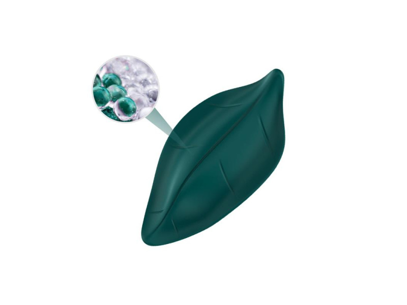 Vibrador de Braguita