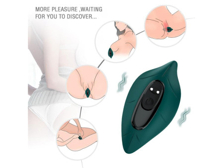 Vibrador de Braguita