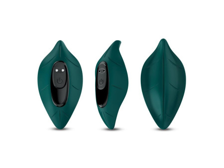 Vibrador de Braguita
