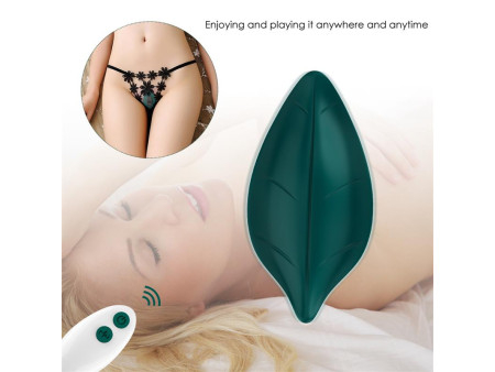 Vibrador de Braguita