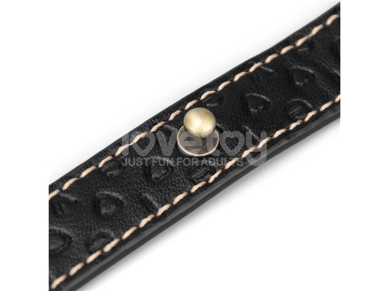 Rebellion Reign Corbata de Collar