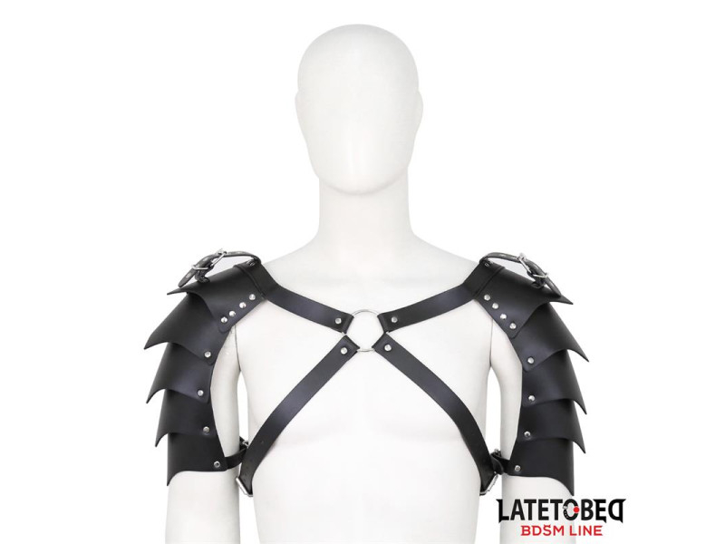 Arnes de Hombros Ajustable