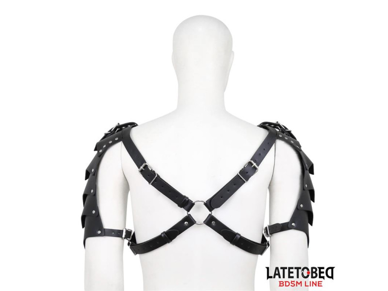 Arnes de Hombros Ajustable