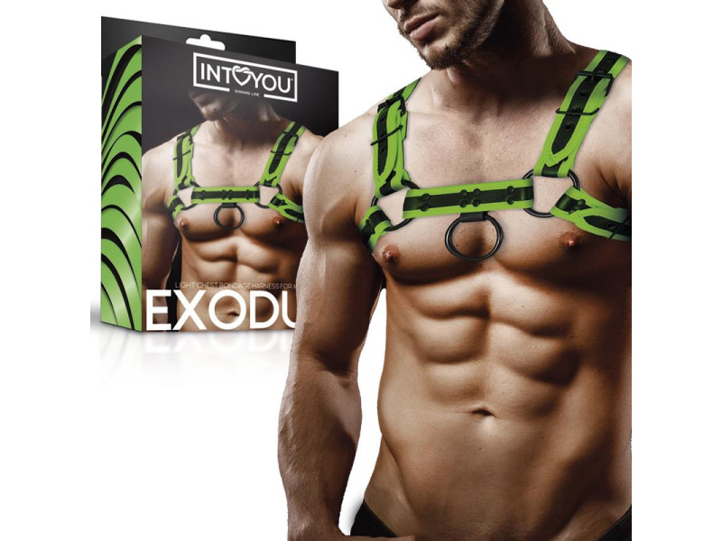 Arnes Bondage para Pecho que Brilla en la Oscuridad Arnes Bondage para Pecho que Brilla en la Oscuridad