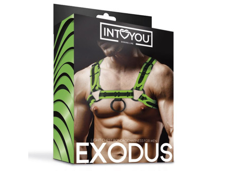 Arnes Bondage para Pecho que Brilla en la Oscuridad Arnes Bondage para Pecho que Brilla en la Oscuridad
