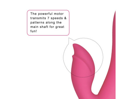 Vibrador Dreamer II USB Rose Red