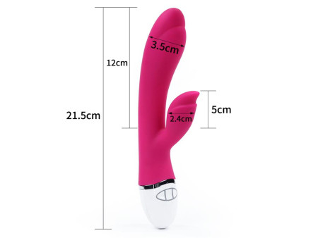 Vibrador Dreamer II USB Rose Red