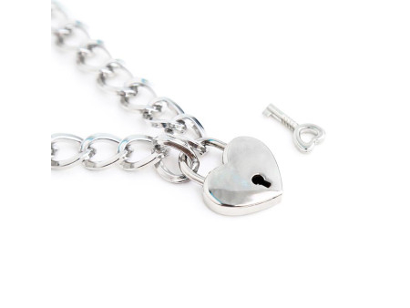 Collar con Candado Metal Talla M 44 cm Collar con Candado Metal Talla M 44 cm