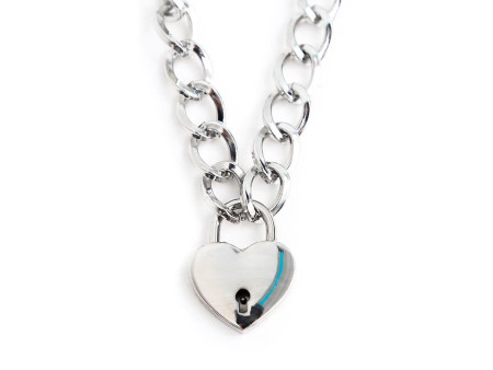 Collar con Candado Metal Talla M 44 cm Collar con Candado Metal Talla M 44 cm