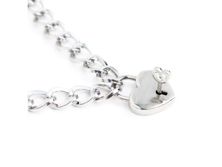 Collar con Candado Metal Talla M 44 cm Collar con Candado Metal Talla M 44 cm