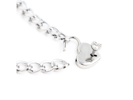 Collar con Candado Metal Talla M 44 cm Collar con Candado Metal Talla M 44 cm