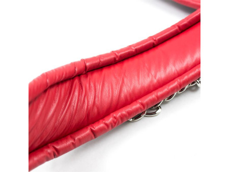 Collar con Correa de Metal e Interior Acolchado Negro Rojo