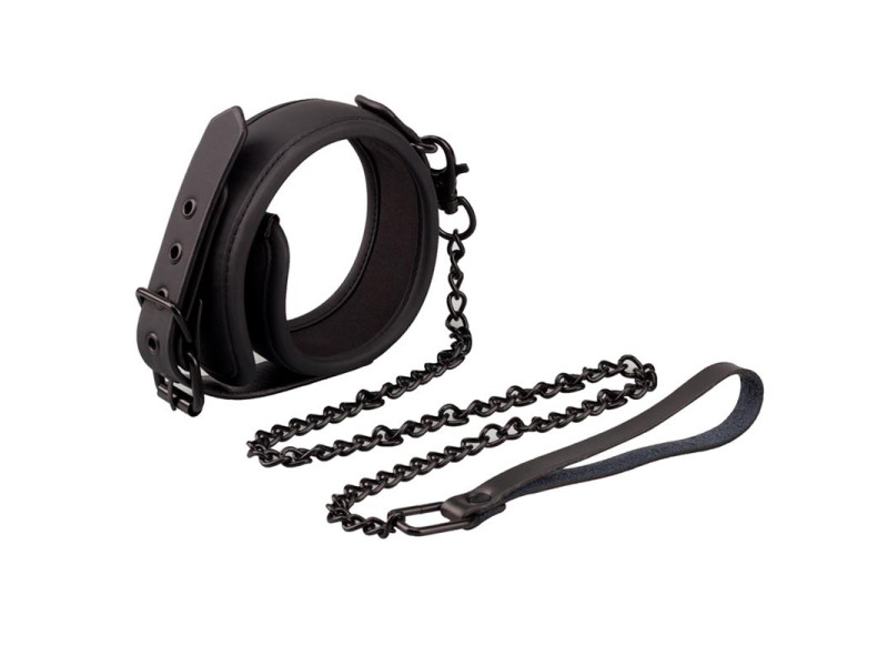 Collar con Correa Cuero Vegano