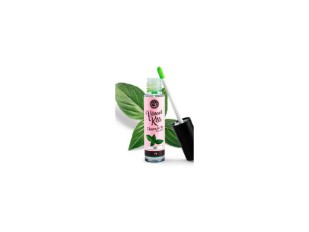 Lip Gloss Vibrant Kiss Sabor Menta