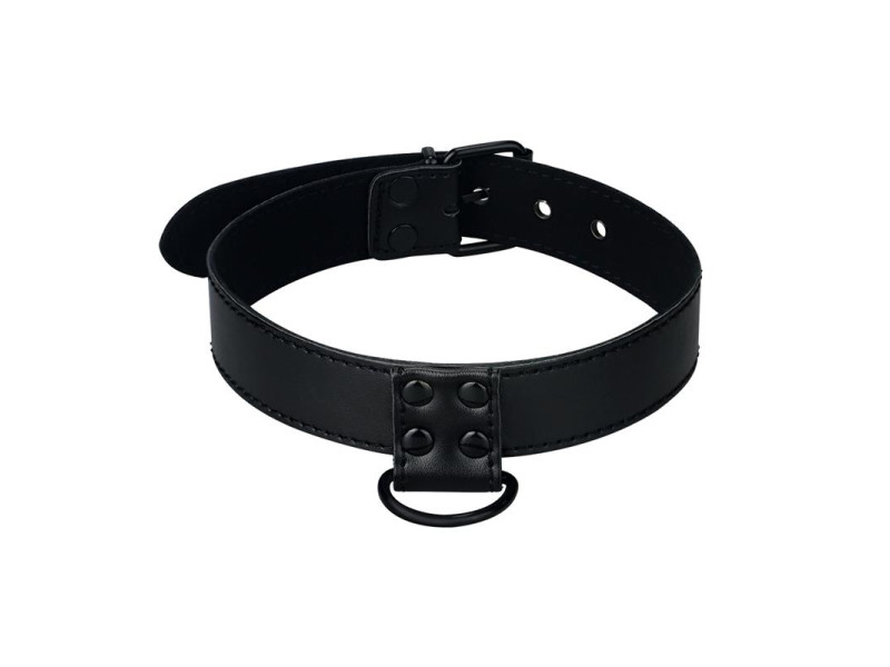 Collar con Correa Negro Mate