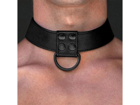 Collar con Correa Negro Mate