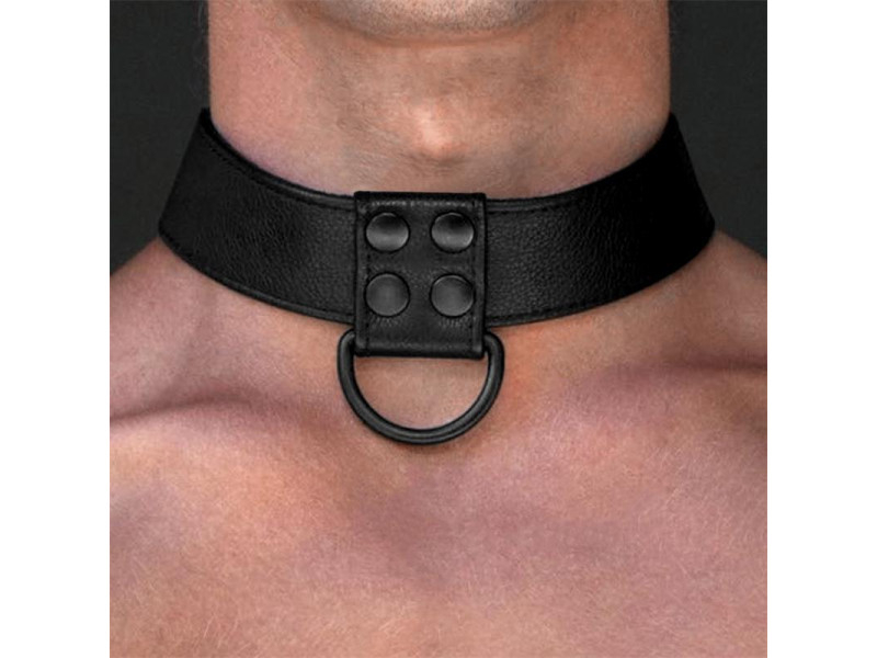 Collar con Correa Negro Mate