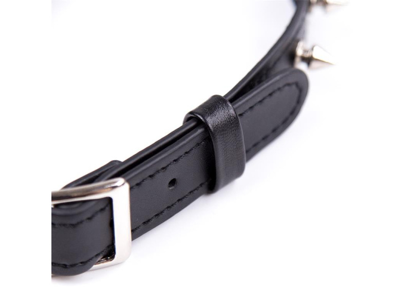 Collar con Pinchos Ajustable 43 cm Negro
