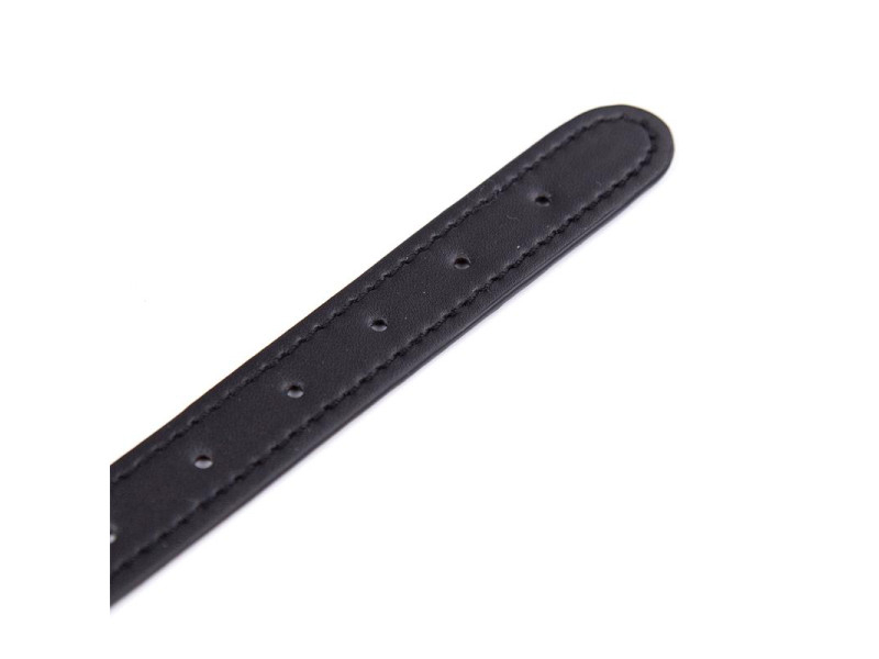 Collar con Pinchos Ajustable 43 cm Negro
