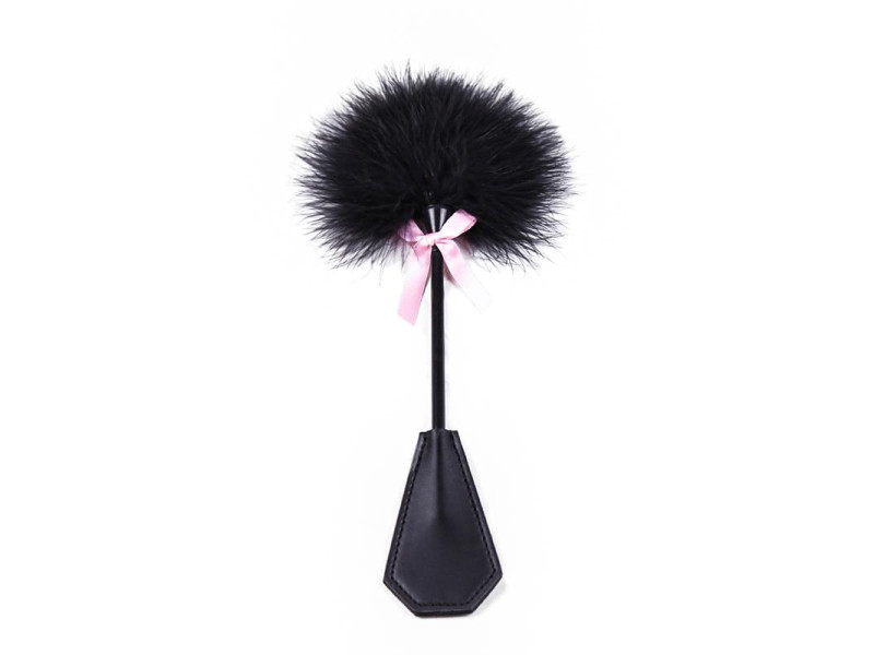 Plumero y Pala 2 en 1 29 cm Negro