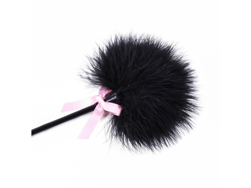 Plumero y Pala 2 en 1 29 cm Negro