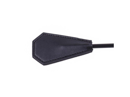 Plumero y Pala 2 en 1 29 cm Negro