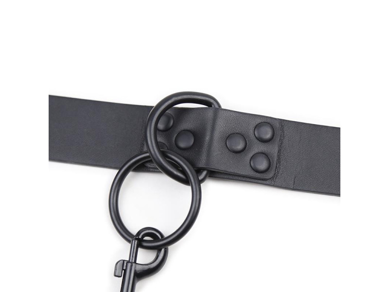 Collar con Correa Negro