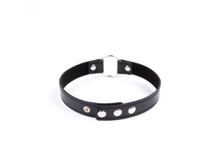 Collar con Aro Ajustable 382 cm Negro
