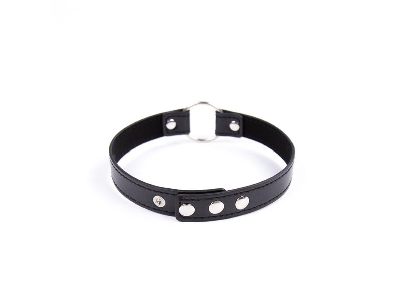 Collar con Aro Ajustable 382 cm Negro