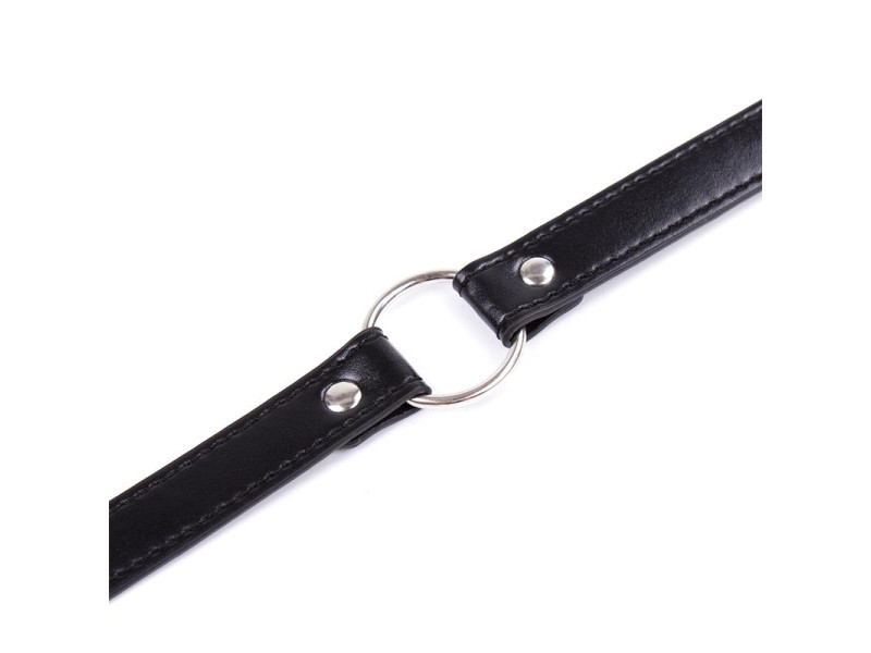 Collar con Aro Ajustable 382 cm Negro