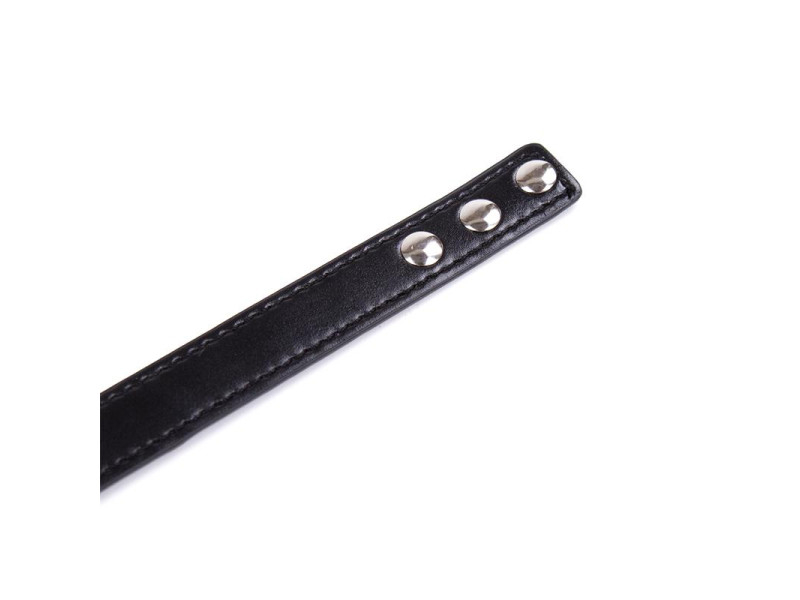 Collar con Aro Ajustable 382 cm Negro