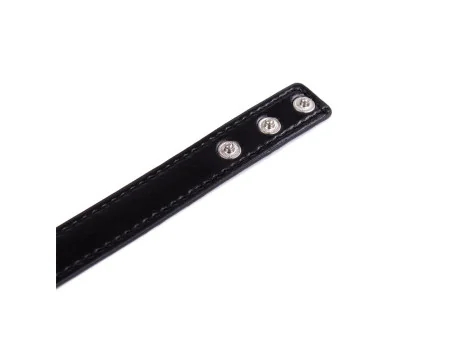 Collar con Aro Ajustable 382 cm Negro